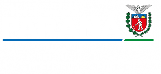 Secretária de Inovação e Inteligência Artificial